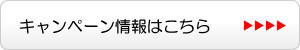 �L�����y�[�����͂�����