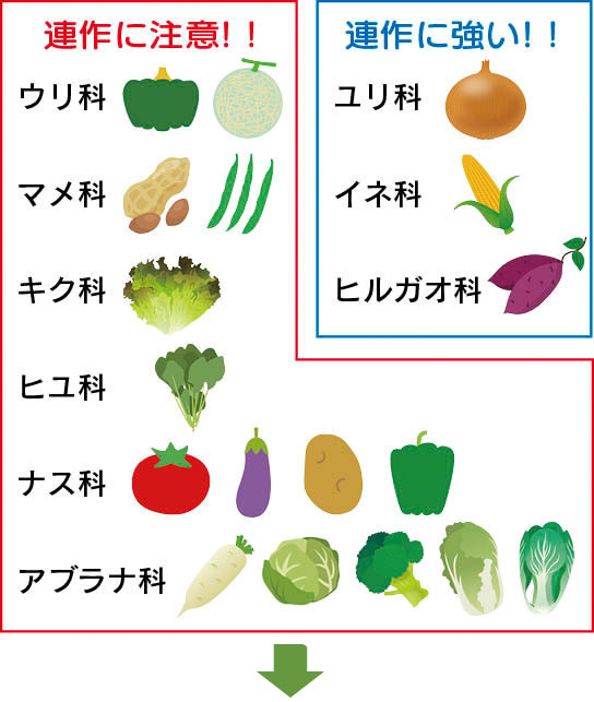 ｊａみな穂 19年5月号