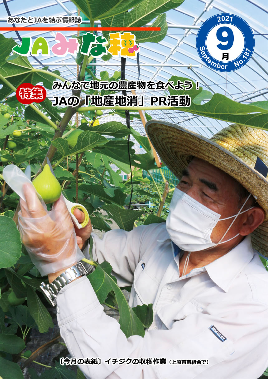 表紙