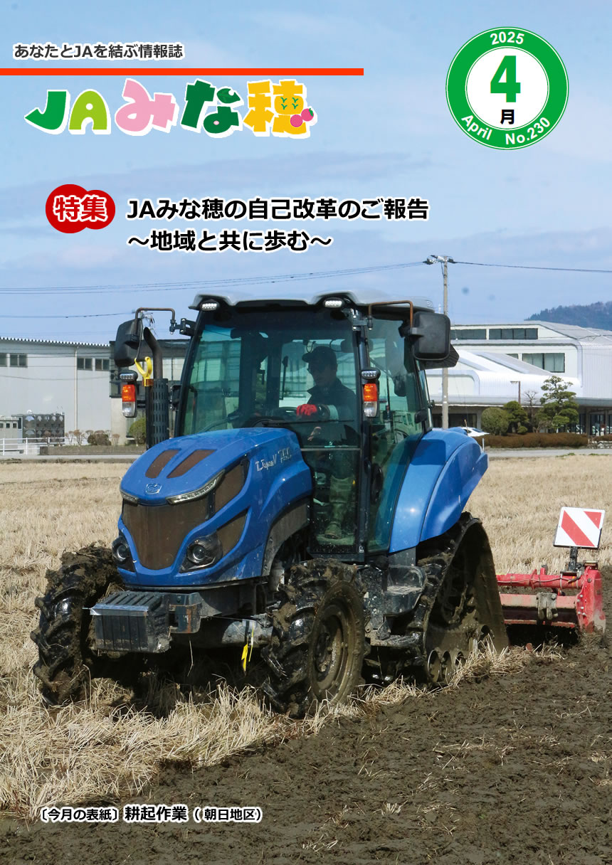 表紙