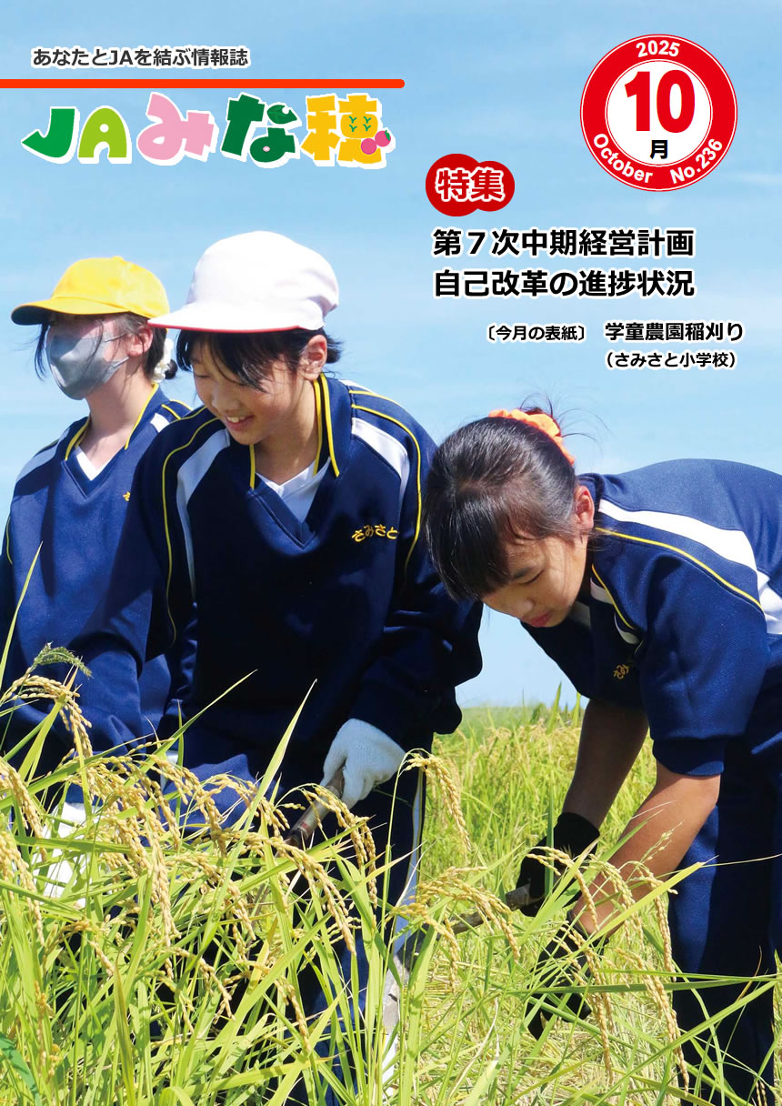 表紙